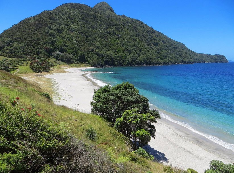 Whangārei Heads, North Island, New Zealand, New Zealand